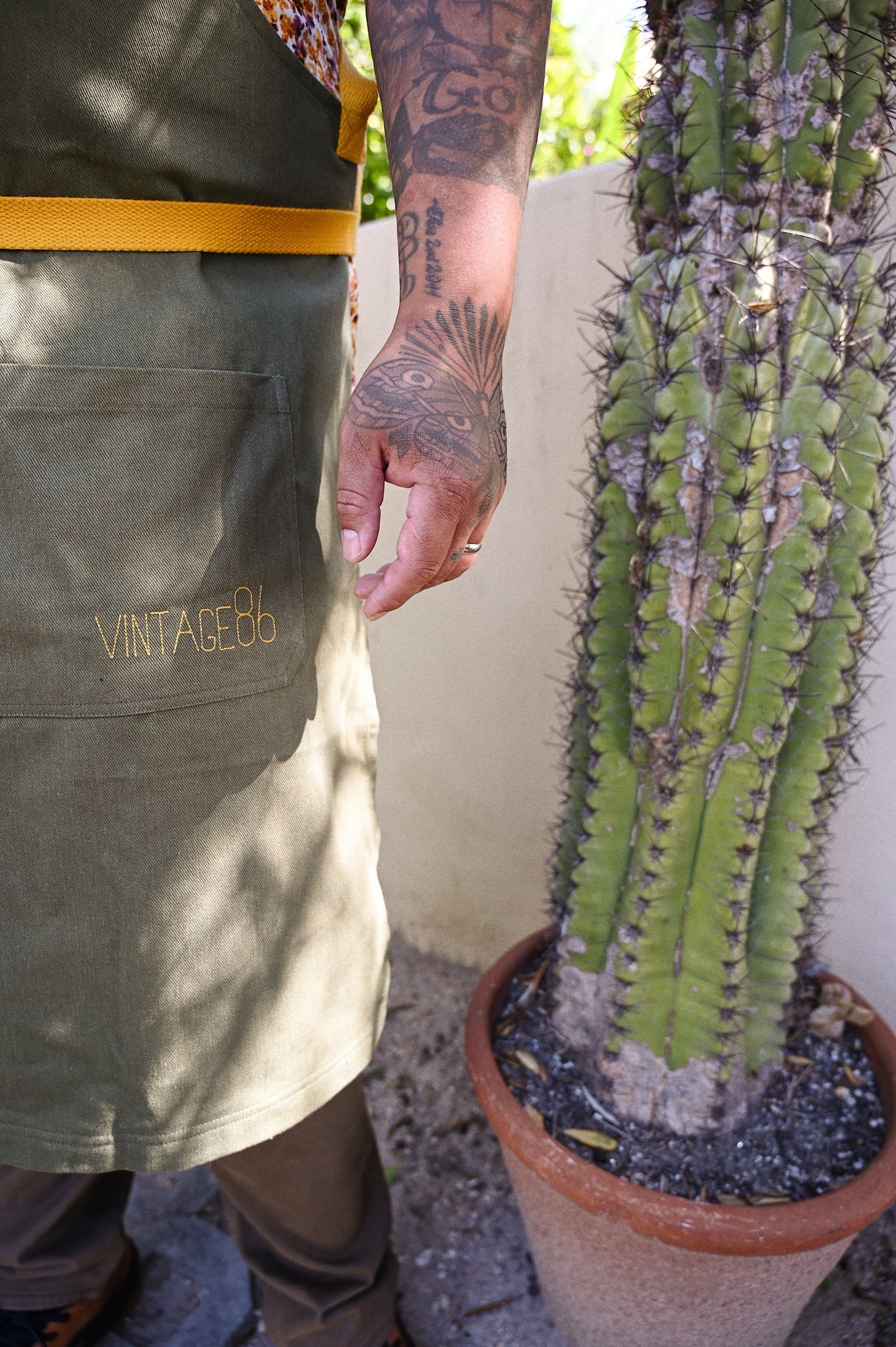 CASTELVETRANO OLIVE APRON